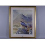 PHILLIP SNOW coloured limited edition (114/850) print - an alert peregrine falcon on a rock in a