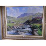 PHILLIP STANTON oil on canvas - Snowdonia riverscape, signed in full, 39 x 49 cms