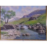 PHILLIP STANTON oil on canvas - North Wales riverscape, signed in full, 39 x 49 cms