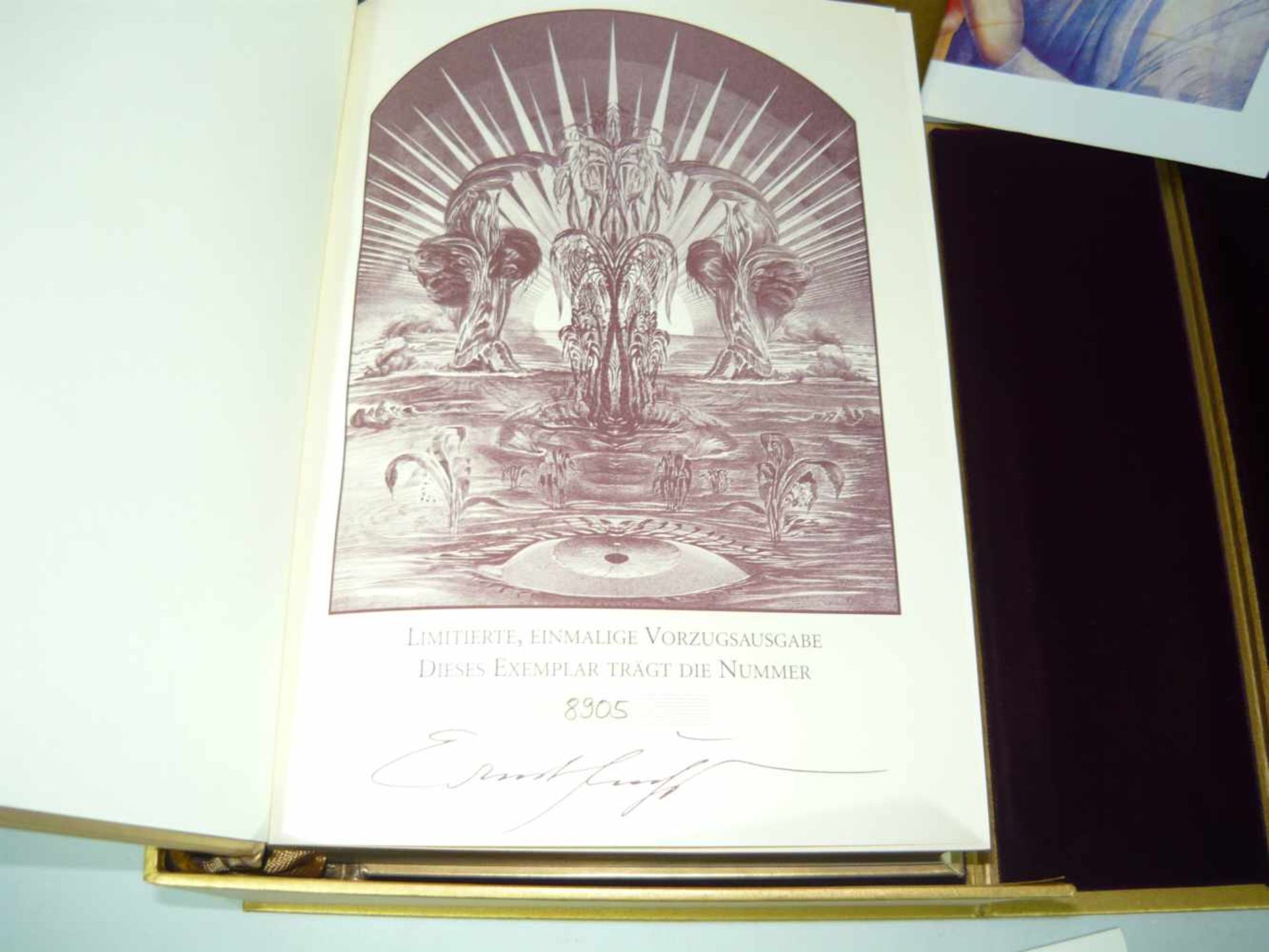 Ernst Fuchs Bibel in Kasette. Metalleinband mit Prägung. Nummeriert 8905. Kasette ca. 11x25x31 cm. - Bild 2 aus 2
