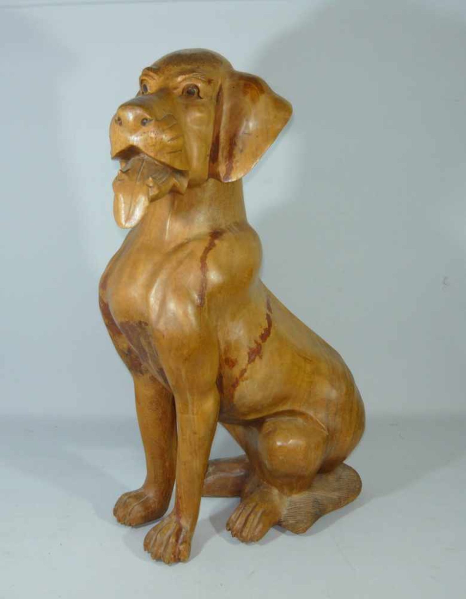 Großer sitzender Hund. Olivenholz, handgeschnitzt. Wohl Unikat. H. ca. 50 cm.Large sitting dog.