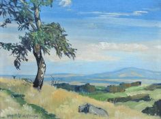 Hofmann, Georg Max. Hof 1891 - 1955 ebenda.Weite Landschaft. Links u. sign. Öl/Lwd. H: 35 x 46 cm.