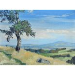 Hofmann, Georg Max. Hof 1891 - 1955 ebenda.Weite Landschaft. Links u. sign. Öl/Lwd. H: 35 x 46 cm.