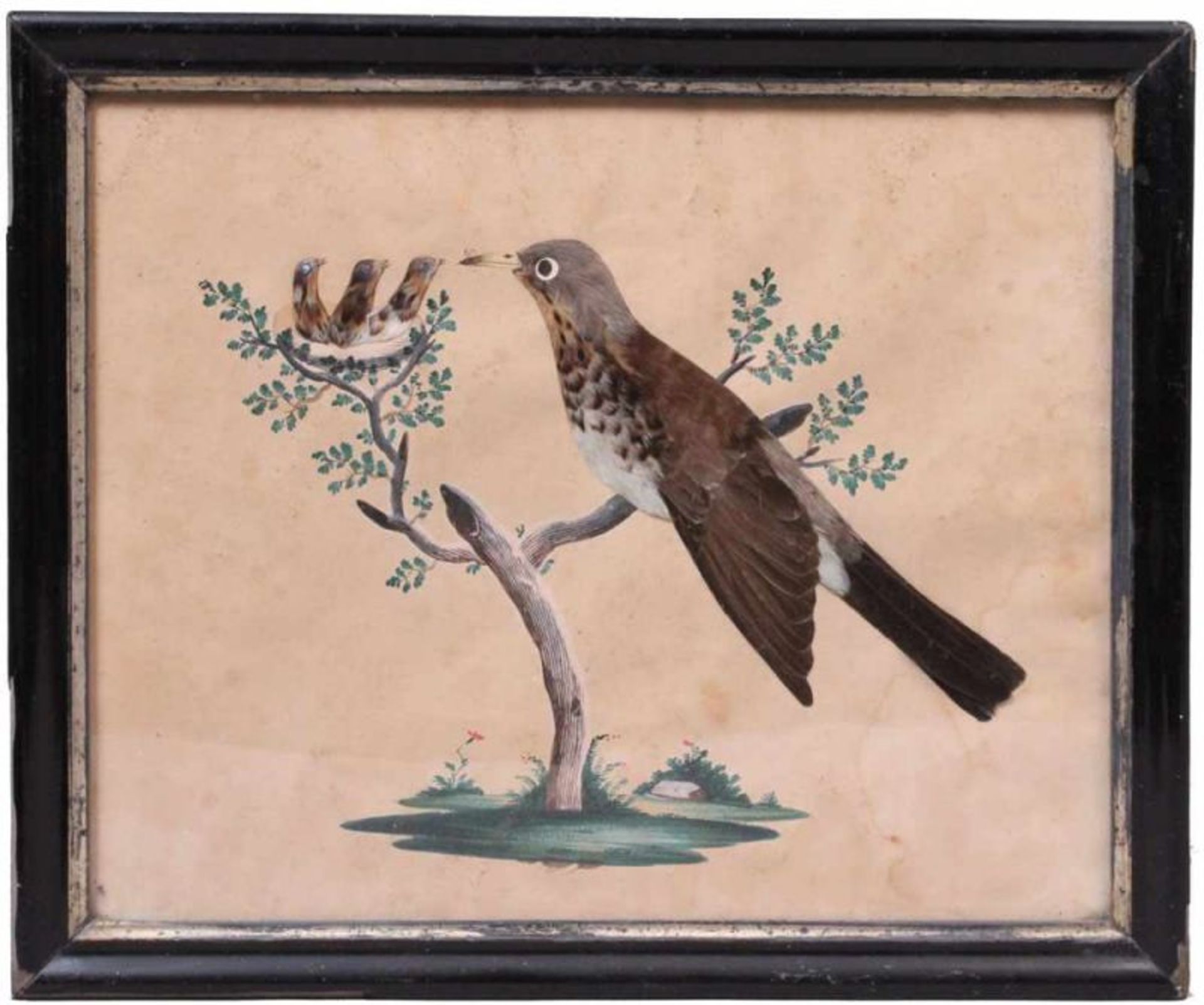 Federbild.Egerland, 19. Jh. Auf aquarelliertem Baumsockel sitzende Nachtigall, im Geäst ein Nest mit