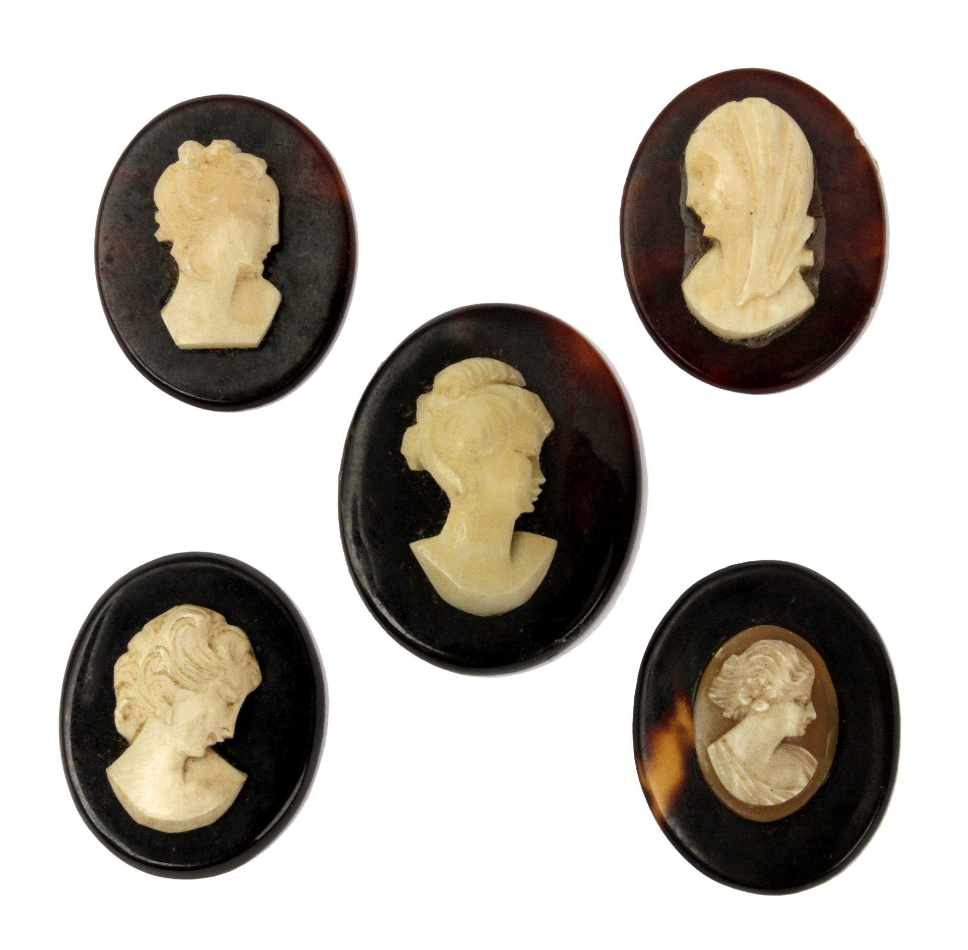 A collection of six Victorian cameos in carved shell and tortoiseshell, England, 19th century