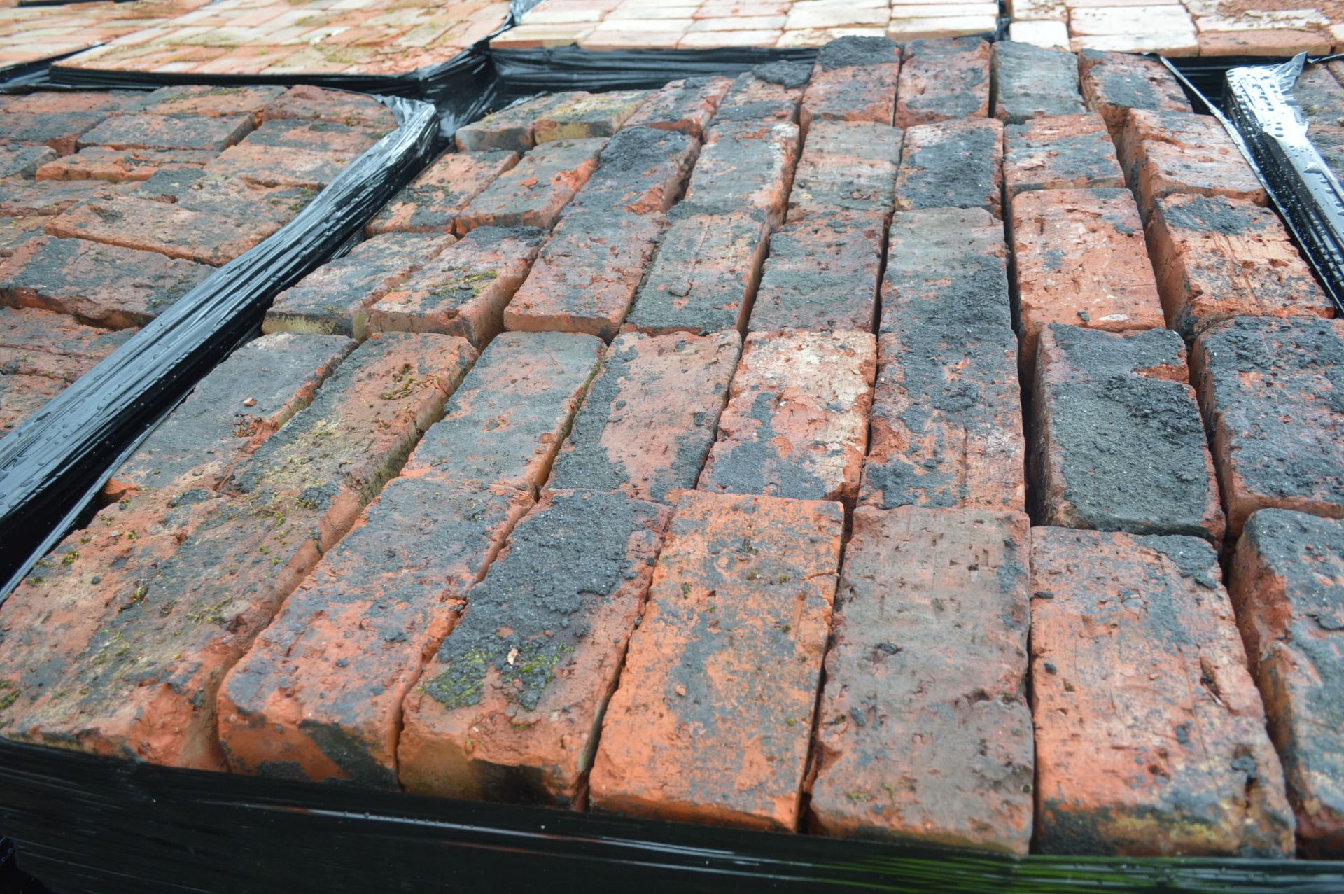 Bricks, on five pallets - Image 3 of 4