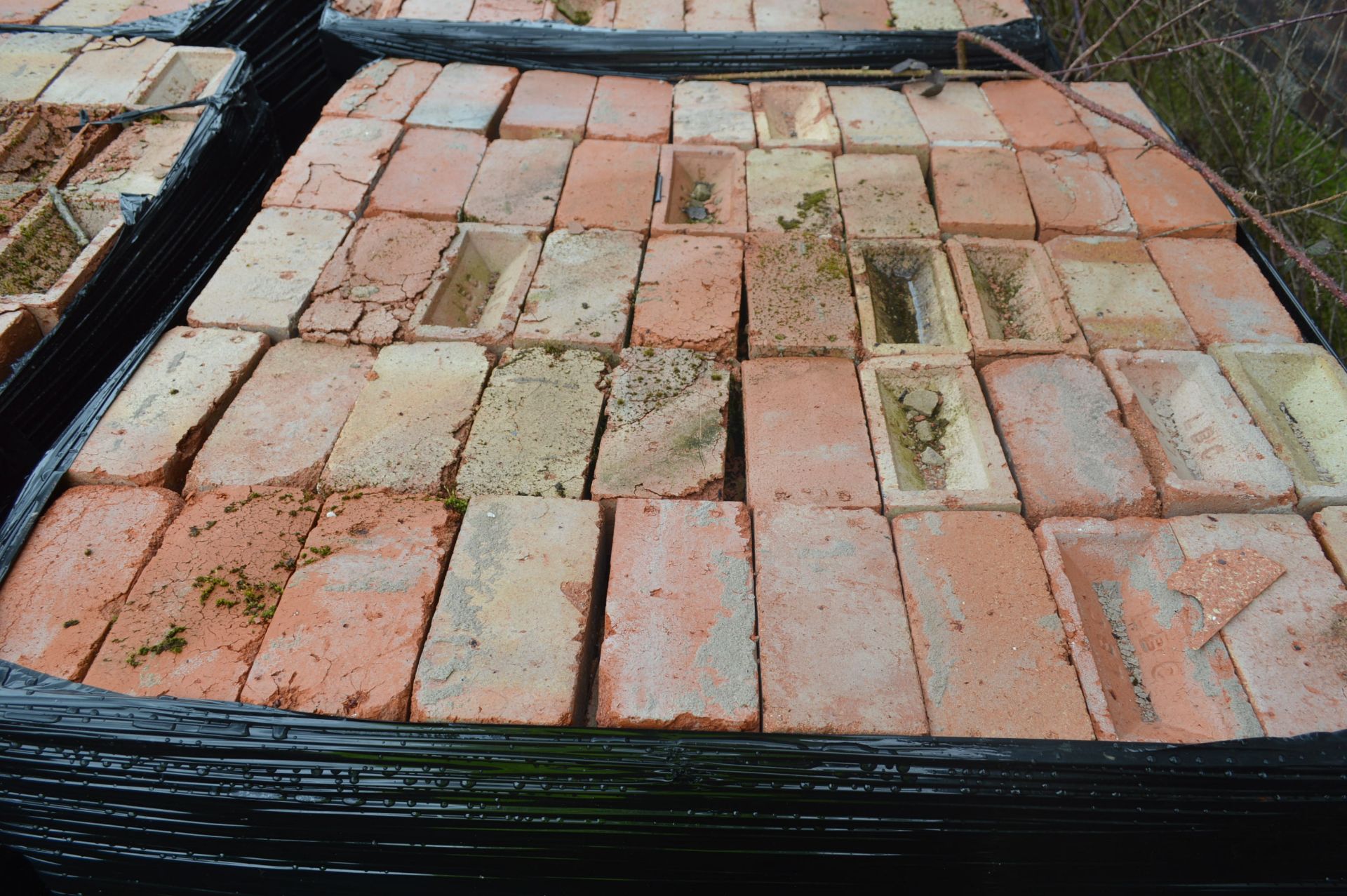 Bricks, on five pallets - Image 8 of 8