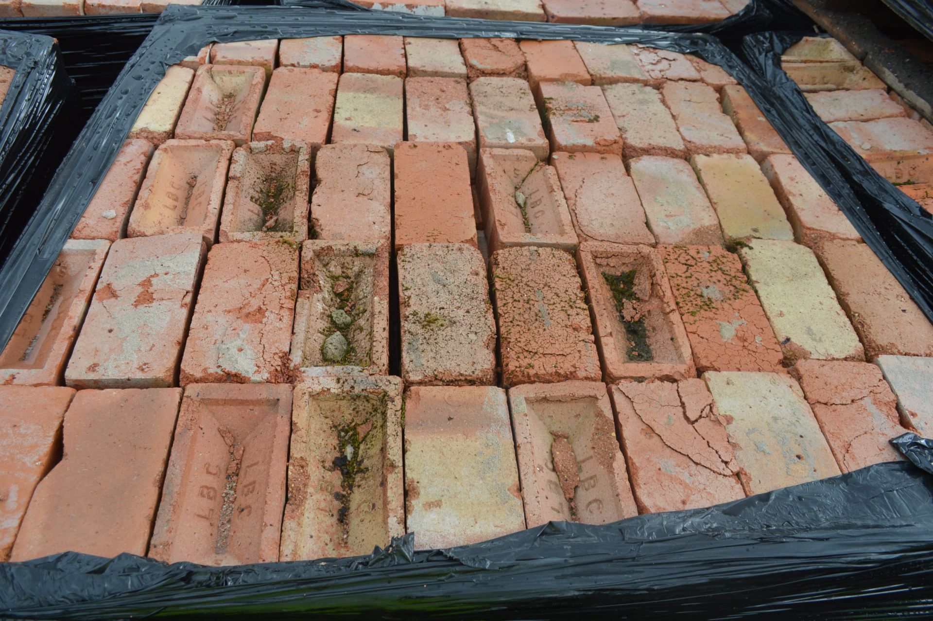 Bricks, on five pallets - Image 7 of 8
