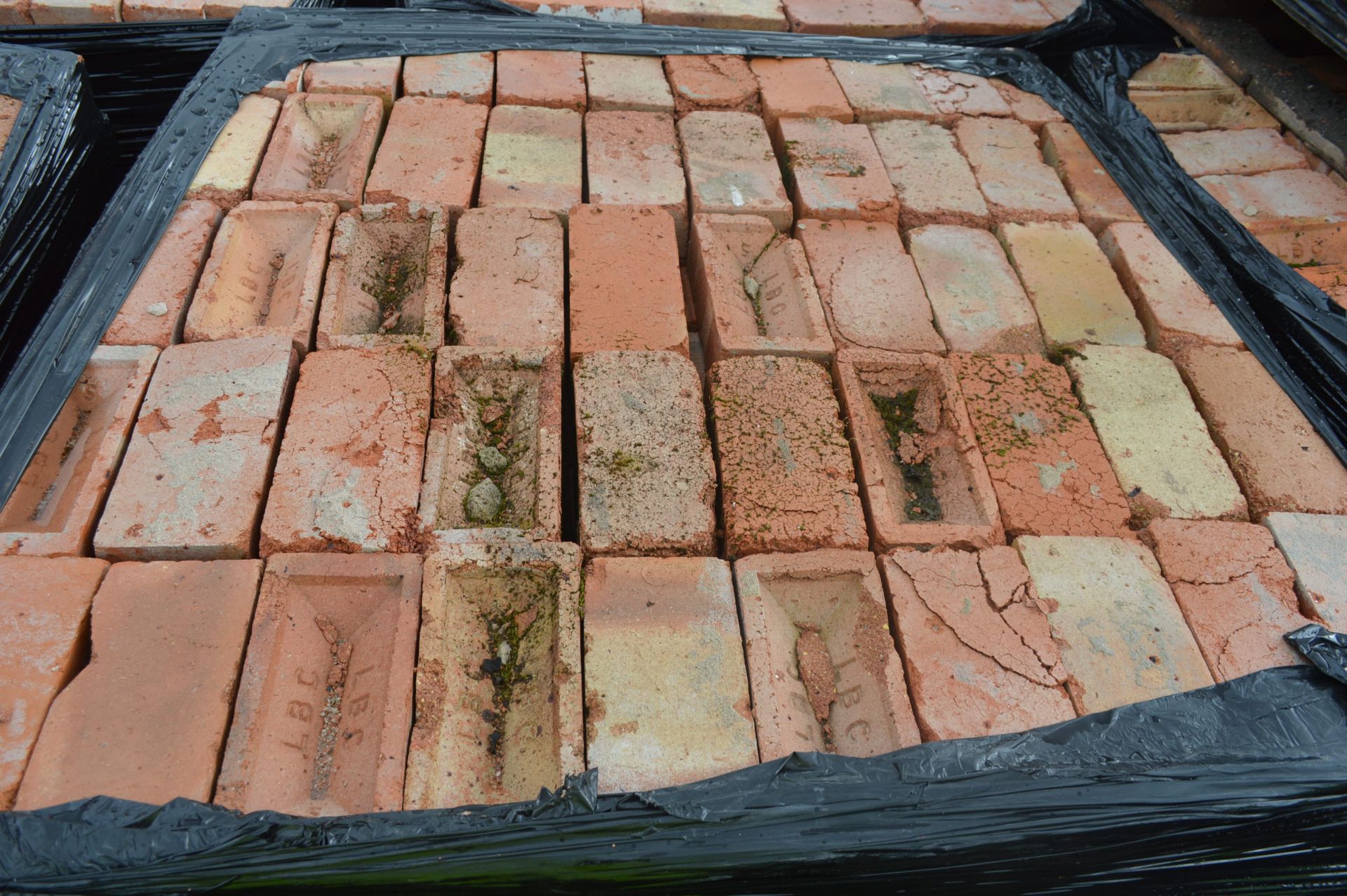 Bricks, on five pallets - Image 8 of 8