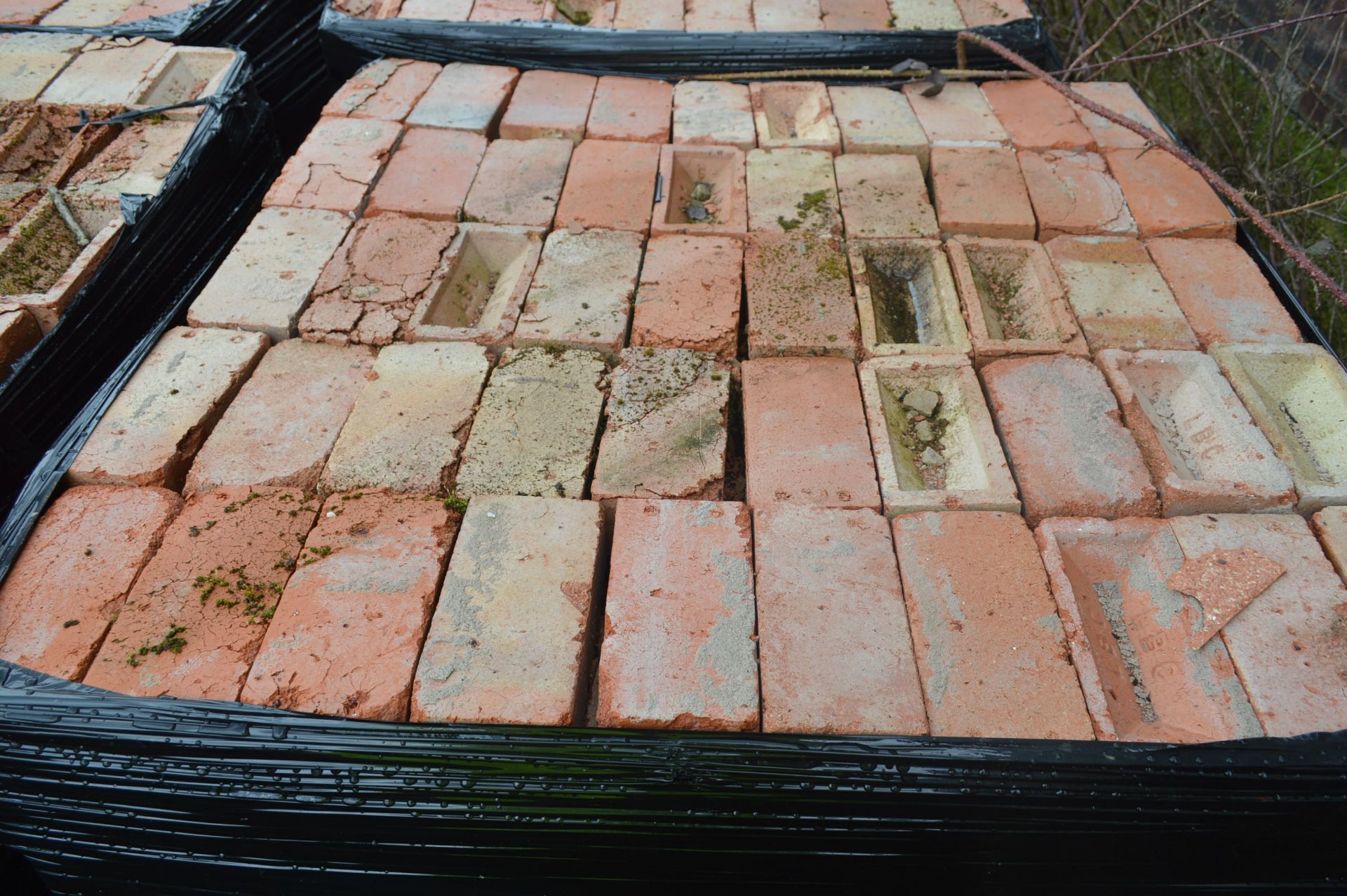 Bricks, on five pallets - Image 7 of 8