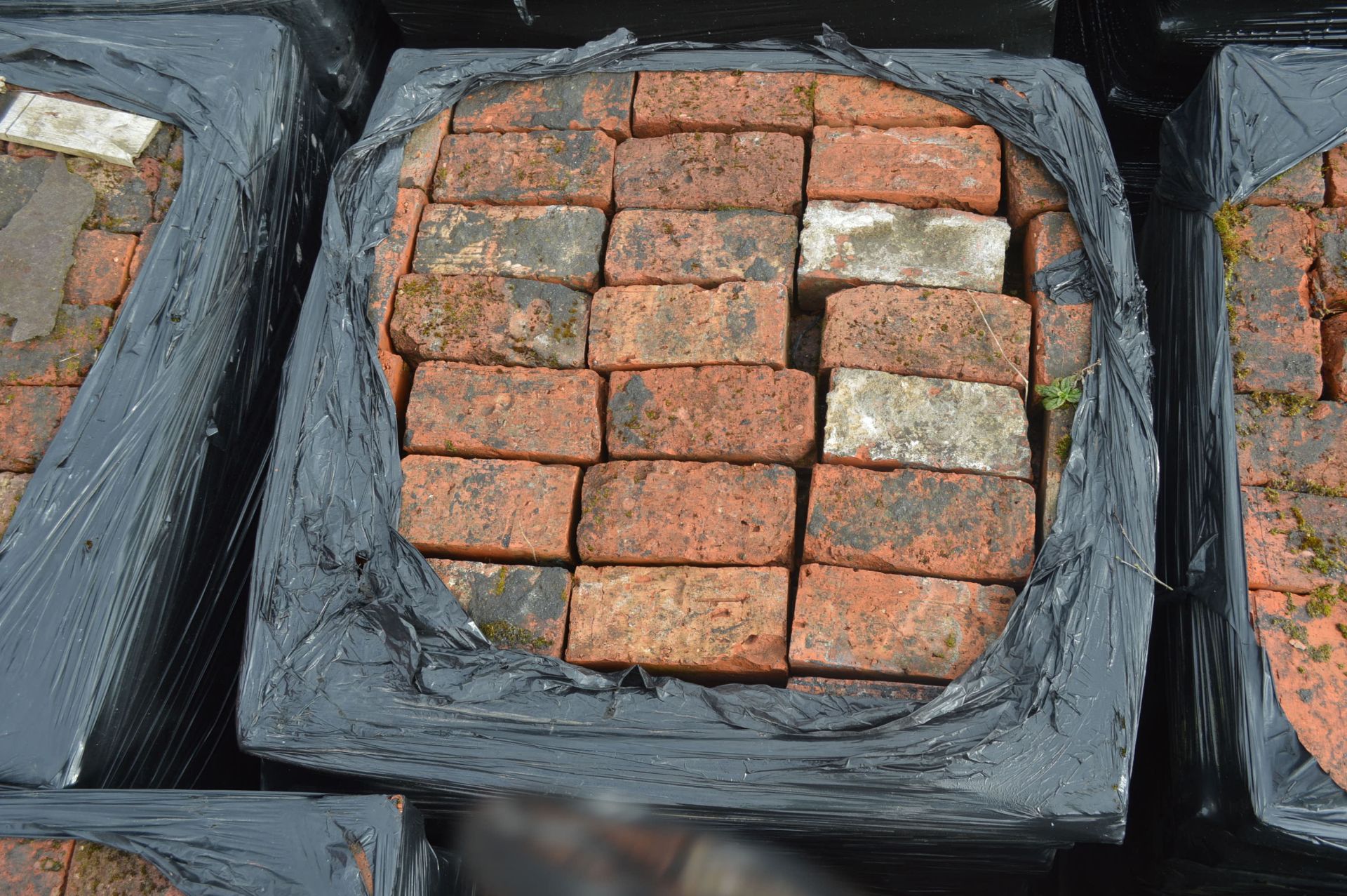 Bricks, on eight pallets - Image 6 of 8