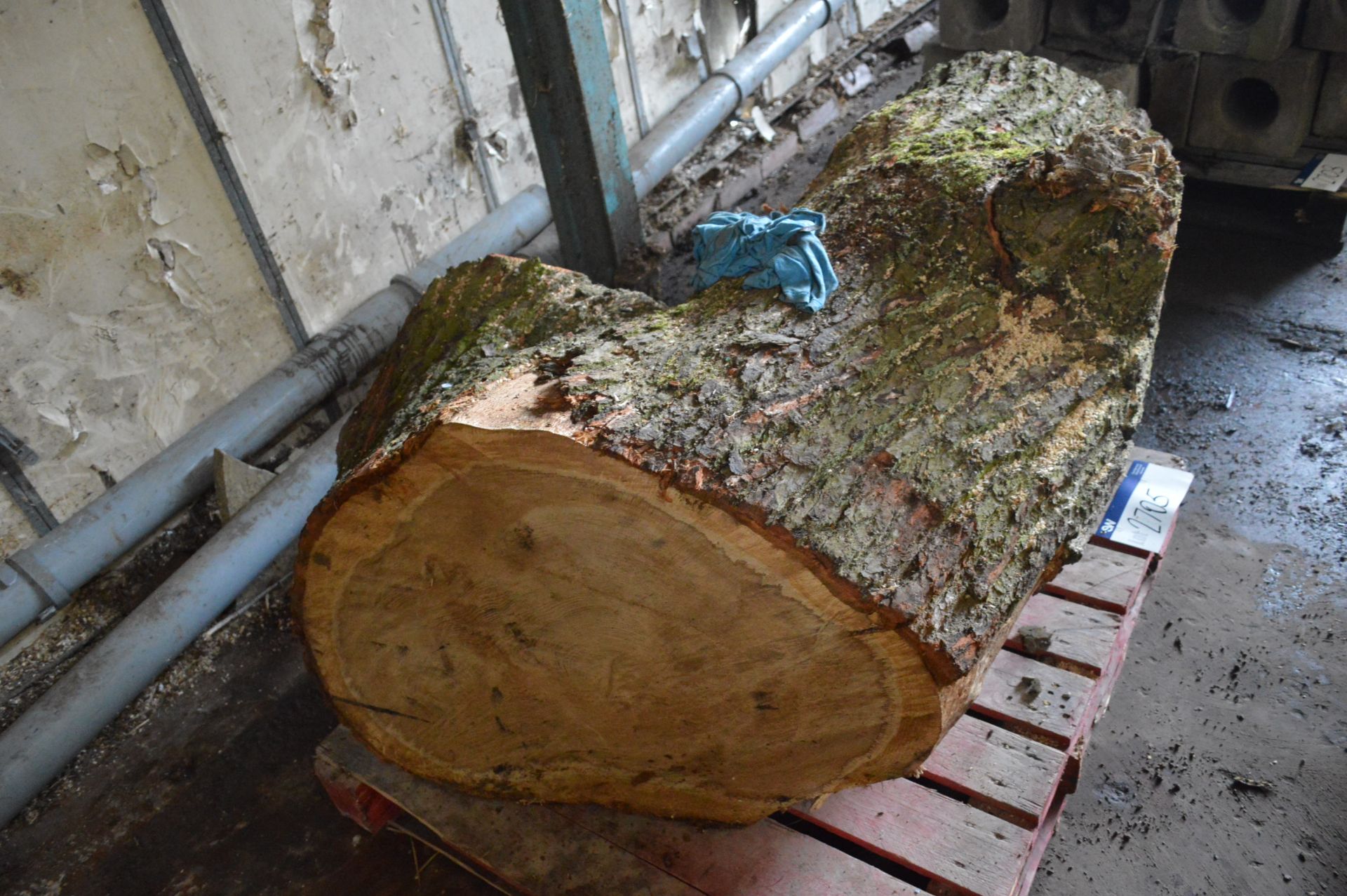 Tree Trunk, approx. 1.2m long - Image 2 of 2