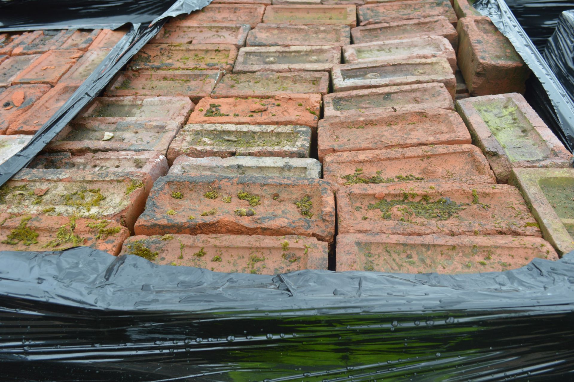 Bricks, on six pallets - Image 6 of 8