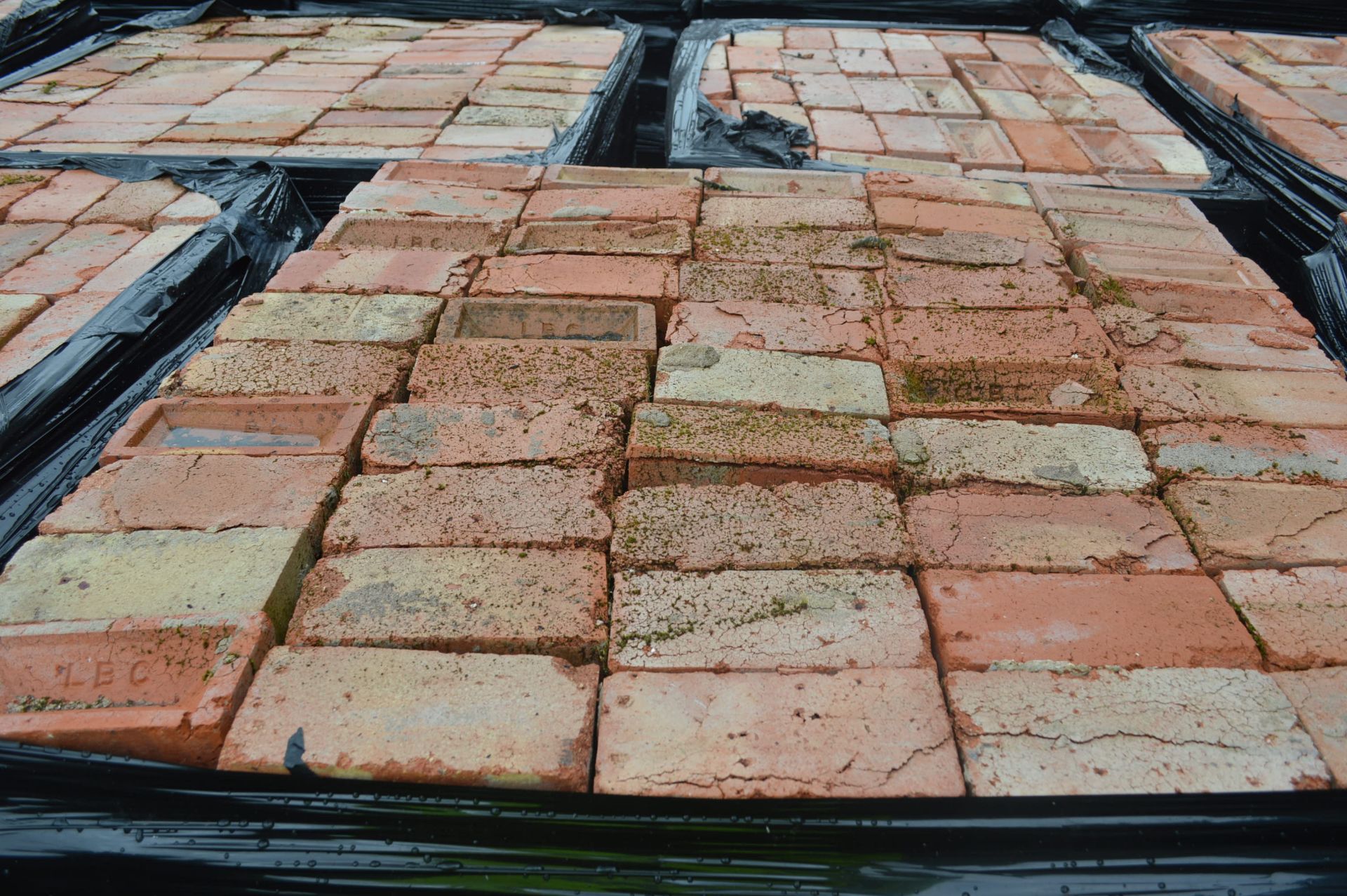 Bricks, on five pallets - Image 5 of 8