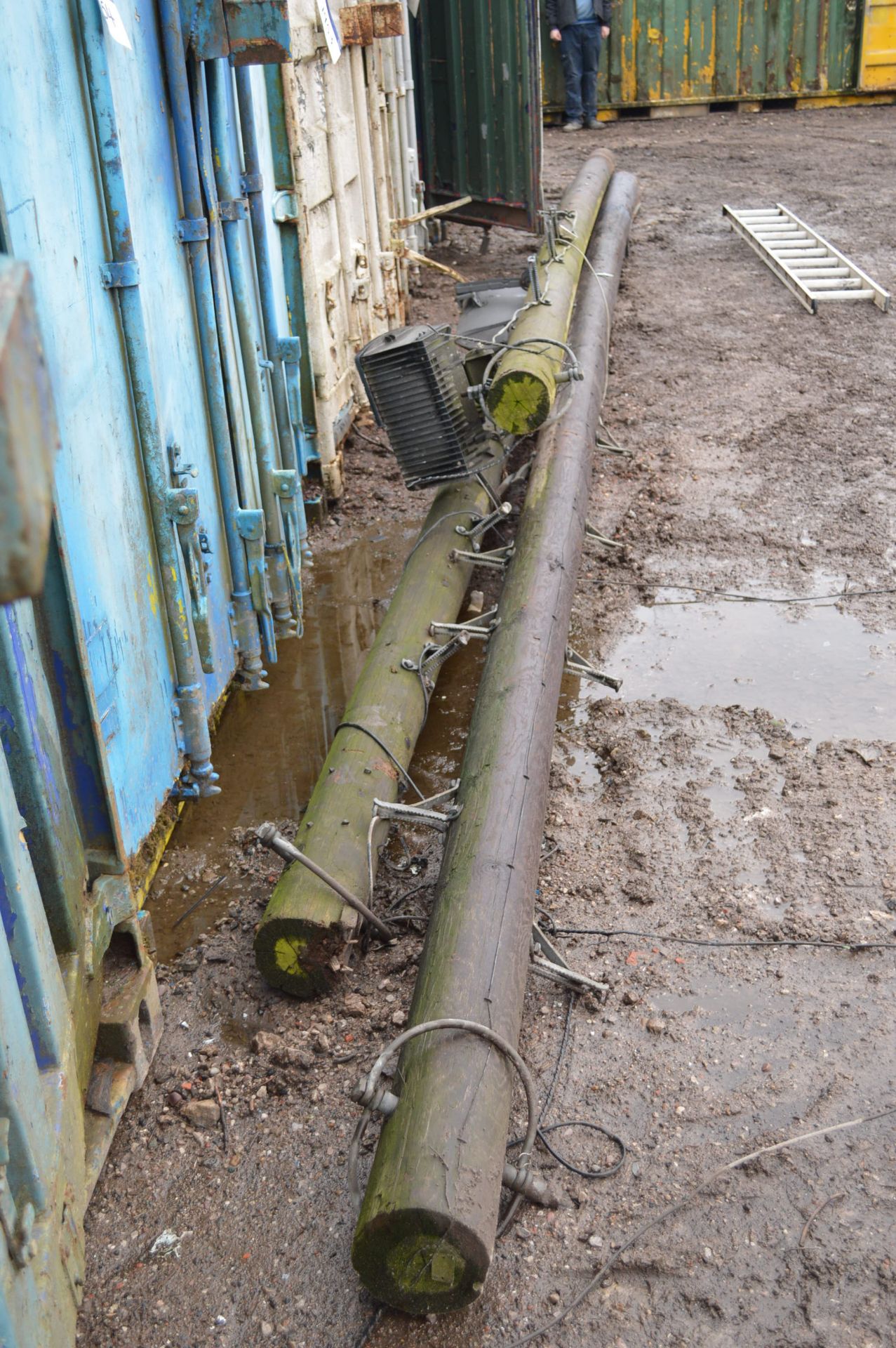 Assorted Telegraph Poles, approx. 7m long - Image 2 of 2
