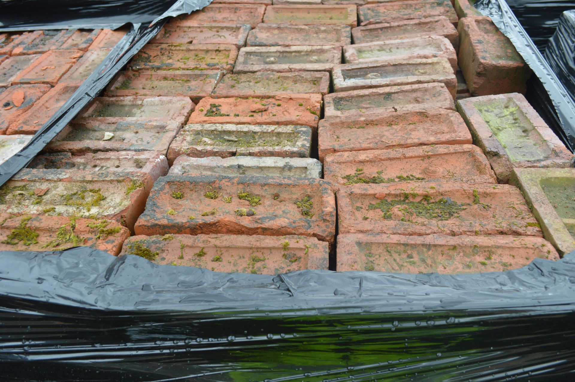 Bricks, on six pallets - Image 5 of 8