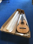 Siena 560 DC Classical Guitar (Boxed)