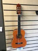 Martinez Spanish Guitars Model NTC082-P (Please No