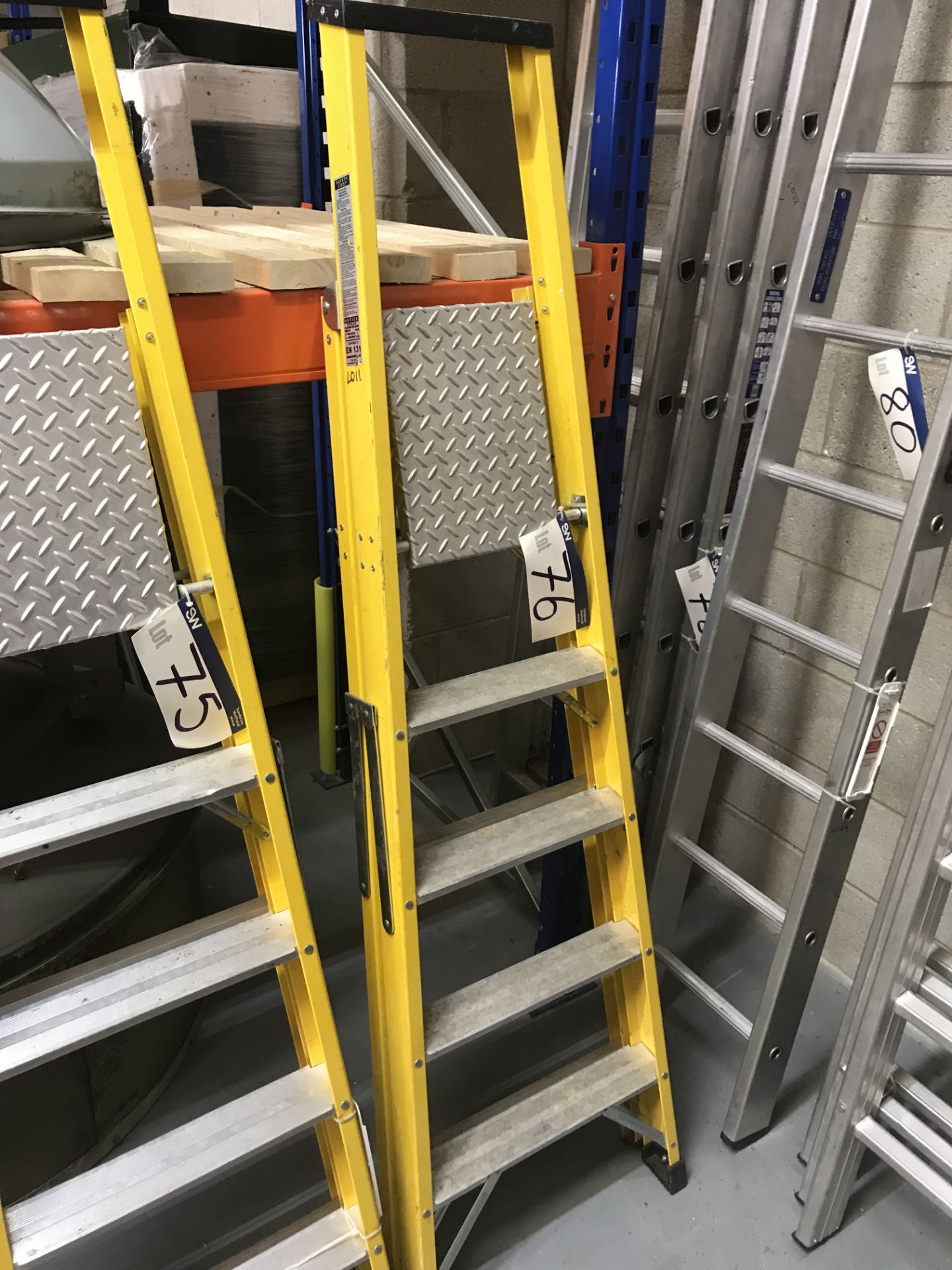 TB Davies Five Rung Fibreglass Stepladder (platform height 1.25m)