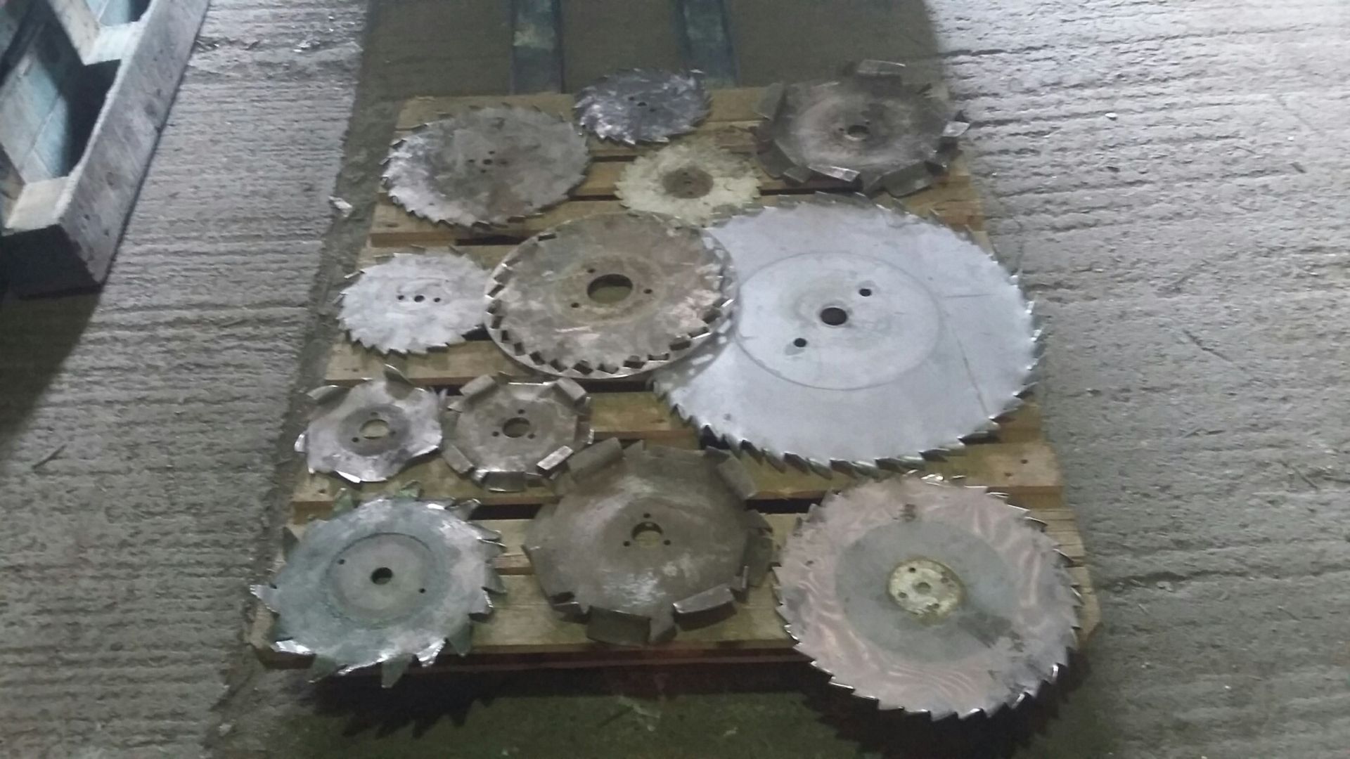 11 Various Sized Stainless Steel Saw Toothed Agita