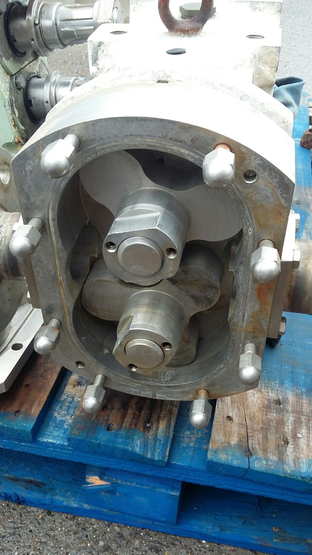 Mono Stainless Steel 2" Lobe Pump, with a second u - Bild 5 aus 5