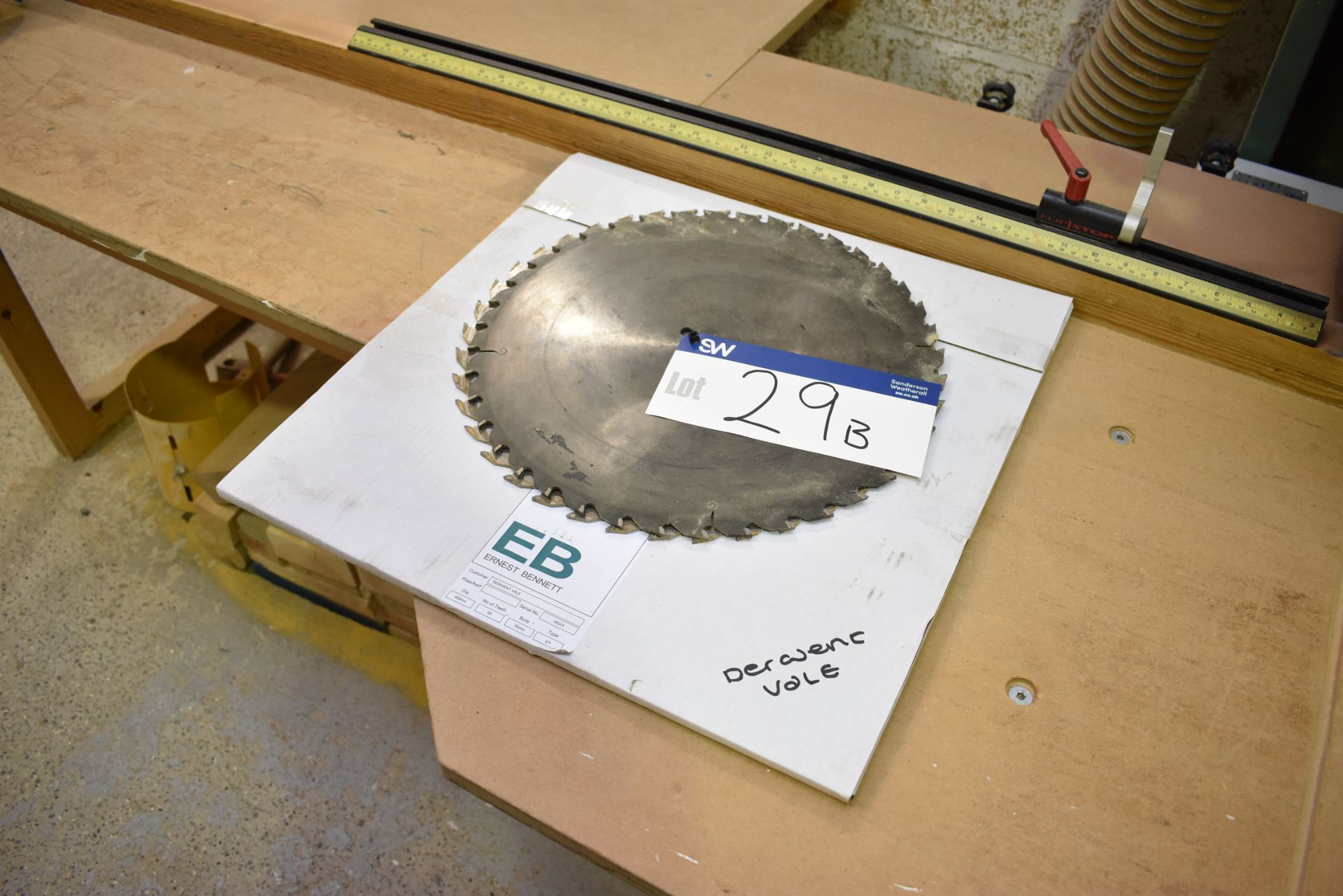 Two Circular Saw Blades