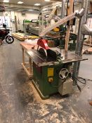 Wadkin BSW 20in Rip Saw, with DC braking fitted