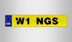 Cherished Registration Number - W1 NGS