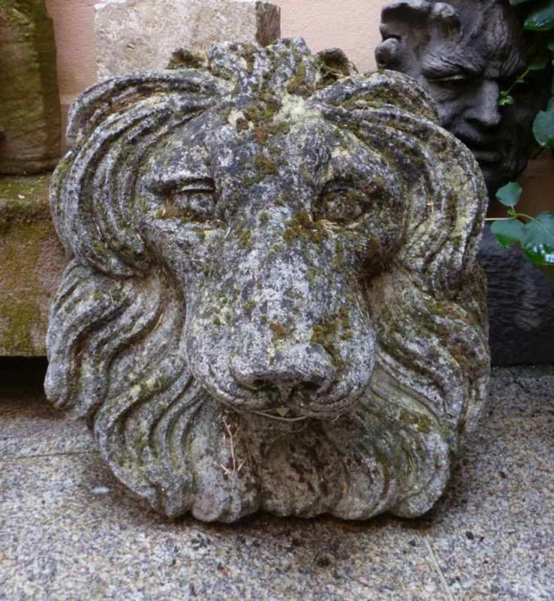 Großer Löwenkopf als Brunnenmaske Italien, 20. Jh. Steinguss mit Verwitterungsspuren. Höhe 53 cm. - Bild 2 aus 2