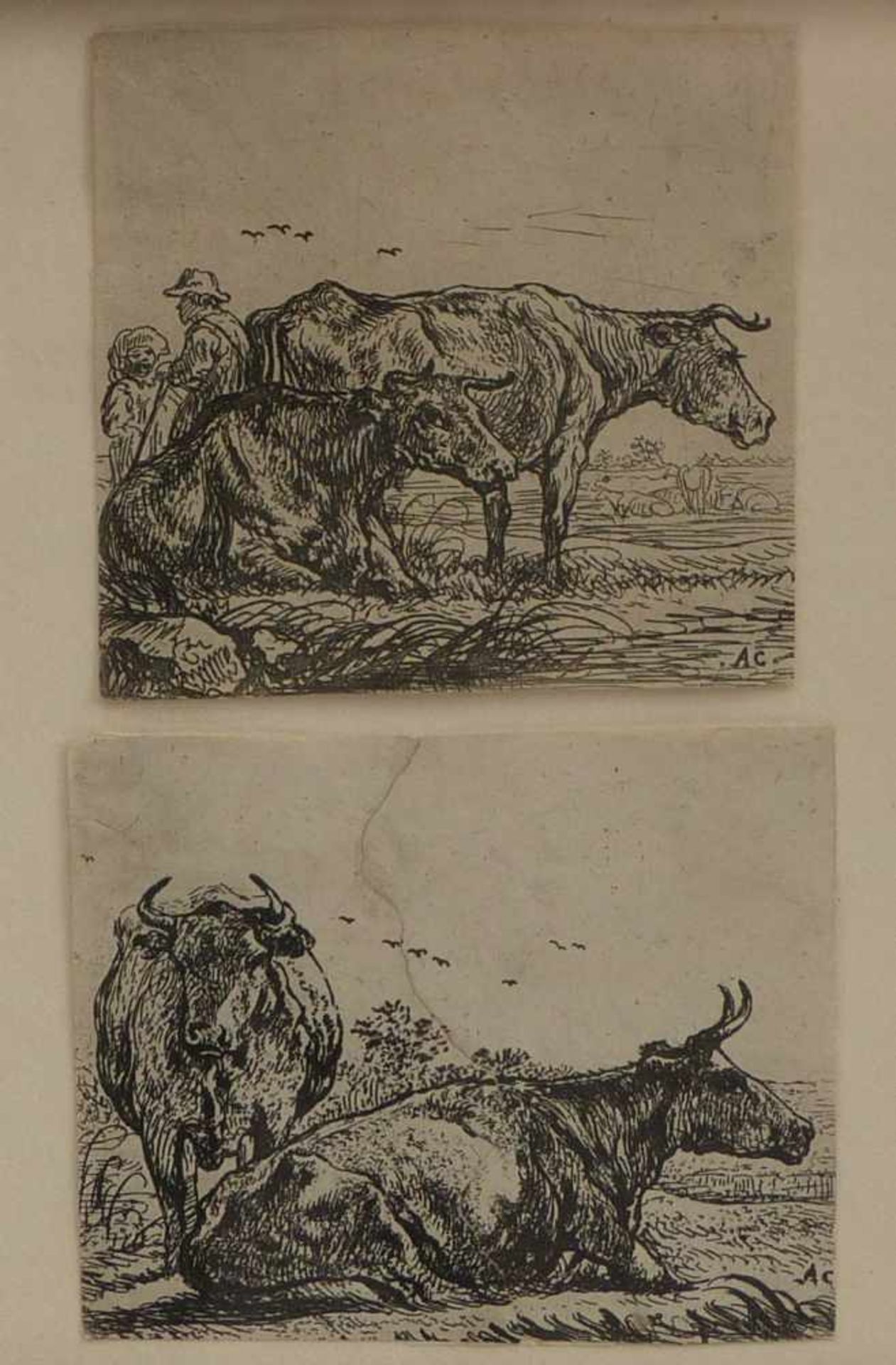 Cuyp, AelbertZwei Landschaften mit je zwei Kühen(Dordrecht 1620-1691 ebd.) Kupferstiche. Jeweils