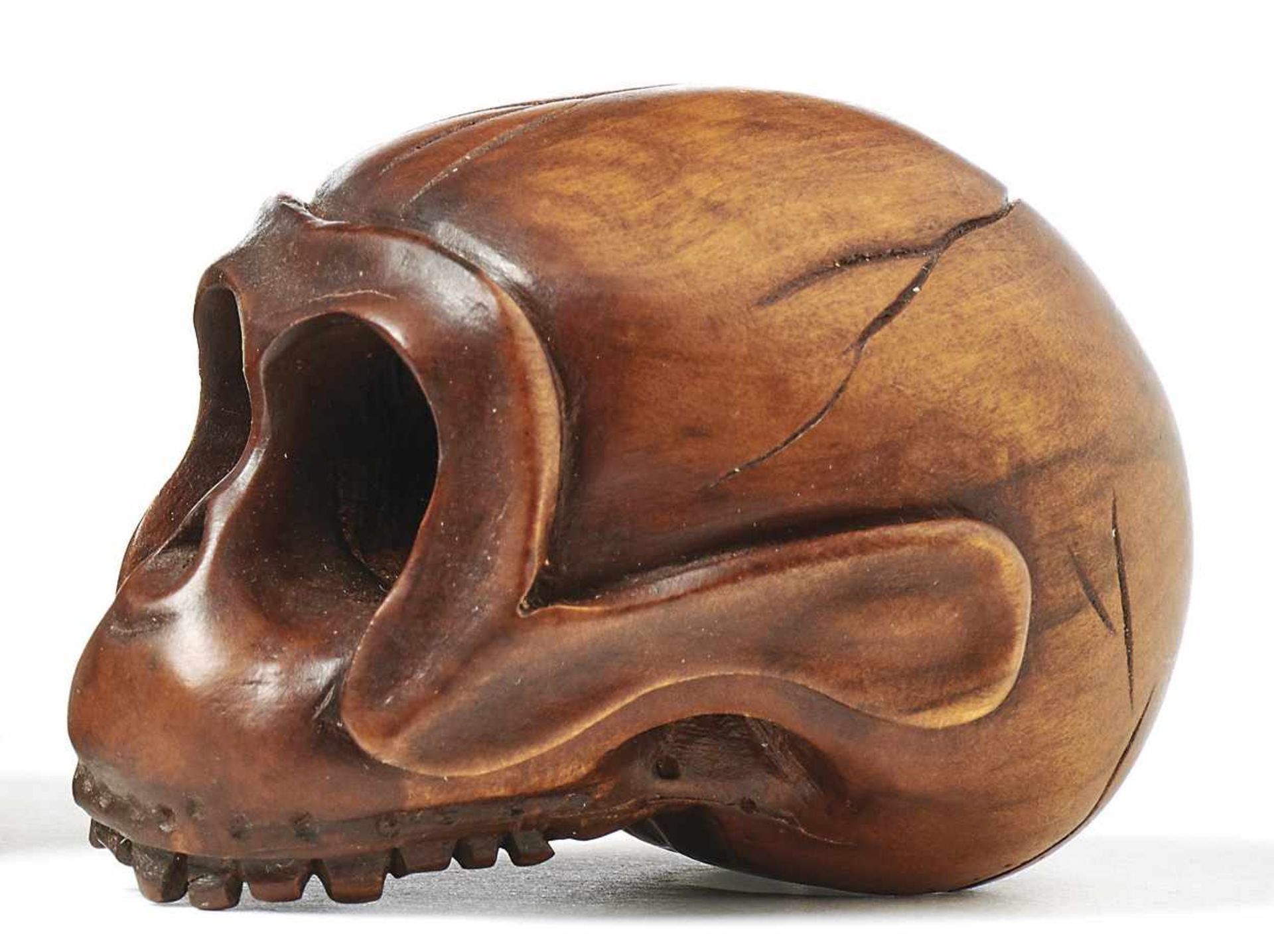 Netsuke eines TotenkopfsJapan, Meiji-Periode, 1868-1912Holz, realistisch geschnitzt. H. 3,6 cm.