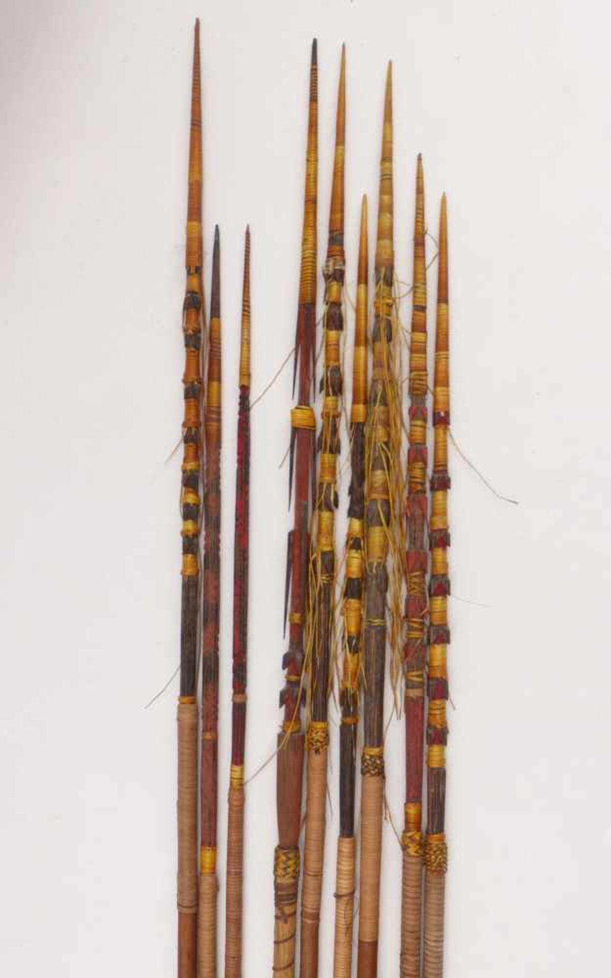 Neun seltene JagdpfeileSalomonen (Südsee)Holz mit Orchideenbast umwickelt. L. ca. 116 - 130 cm. - - Bild 2 aus 4