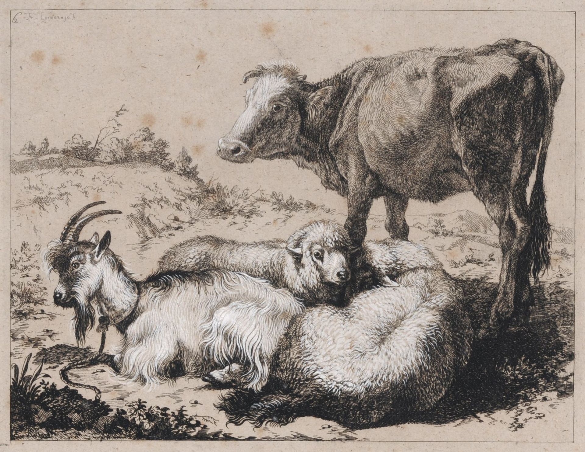 Francesco Londonio, Ochse mit zwei Schafen und einer Ziege. 1762/1763. Francesco Londonio 1723