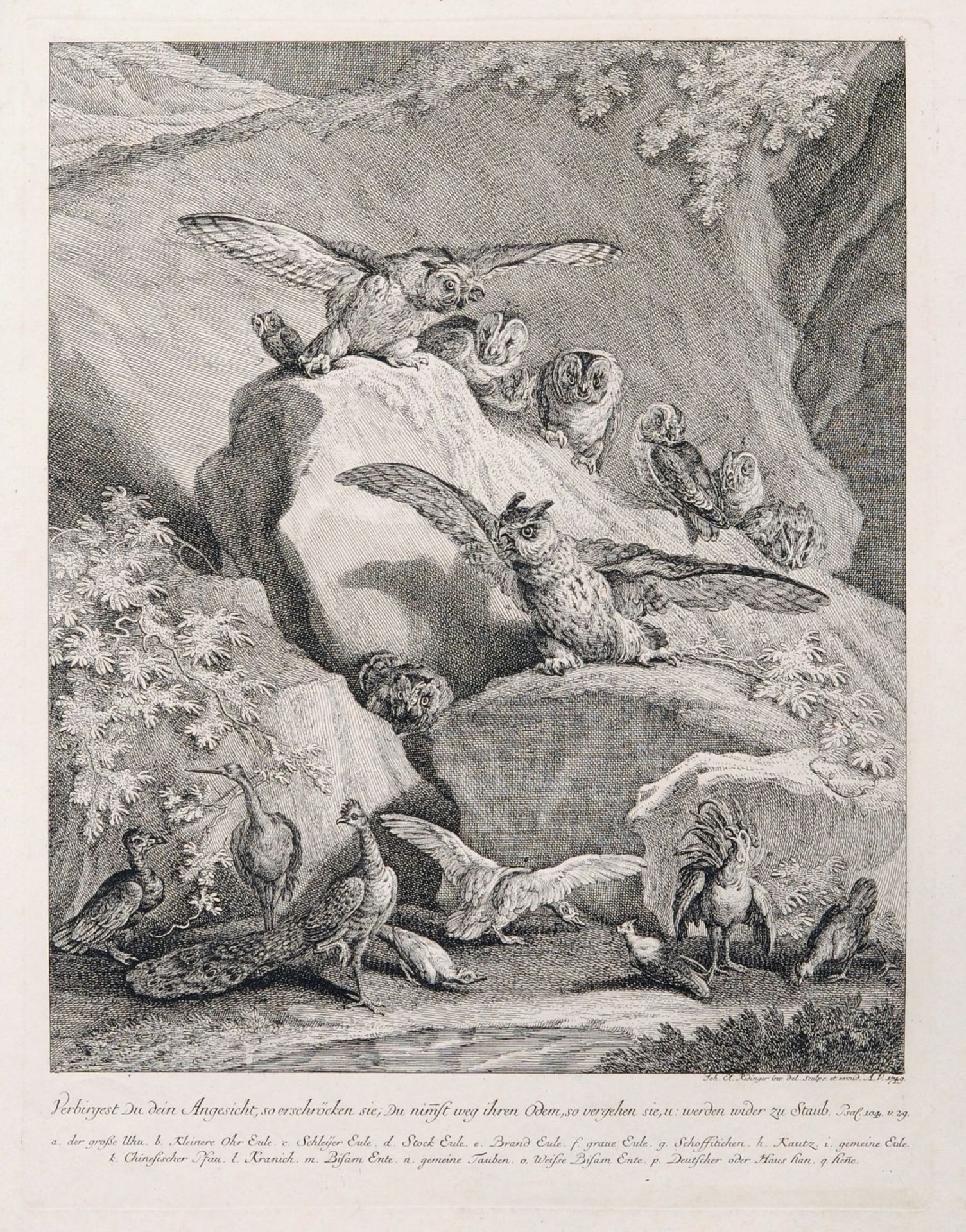 Johann Elias Ridinger "Frage doch die Vögel unter dem Himmel" / "Verbirgest Du Dein Angesicht" 1749.