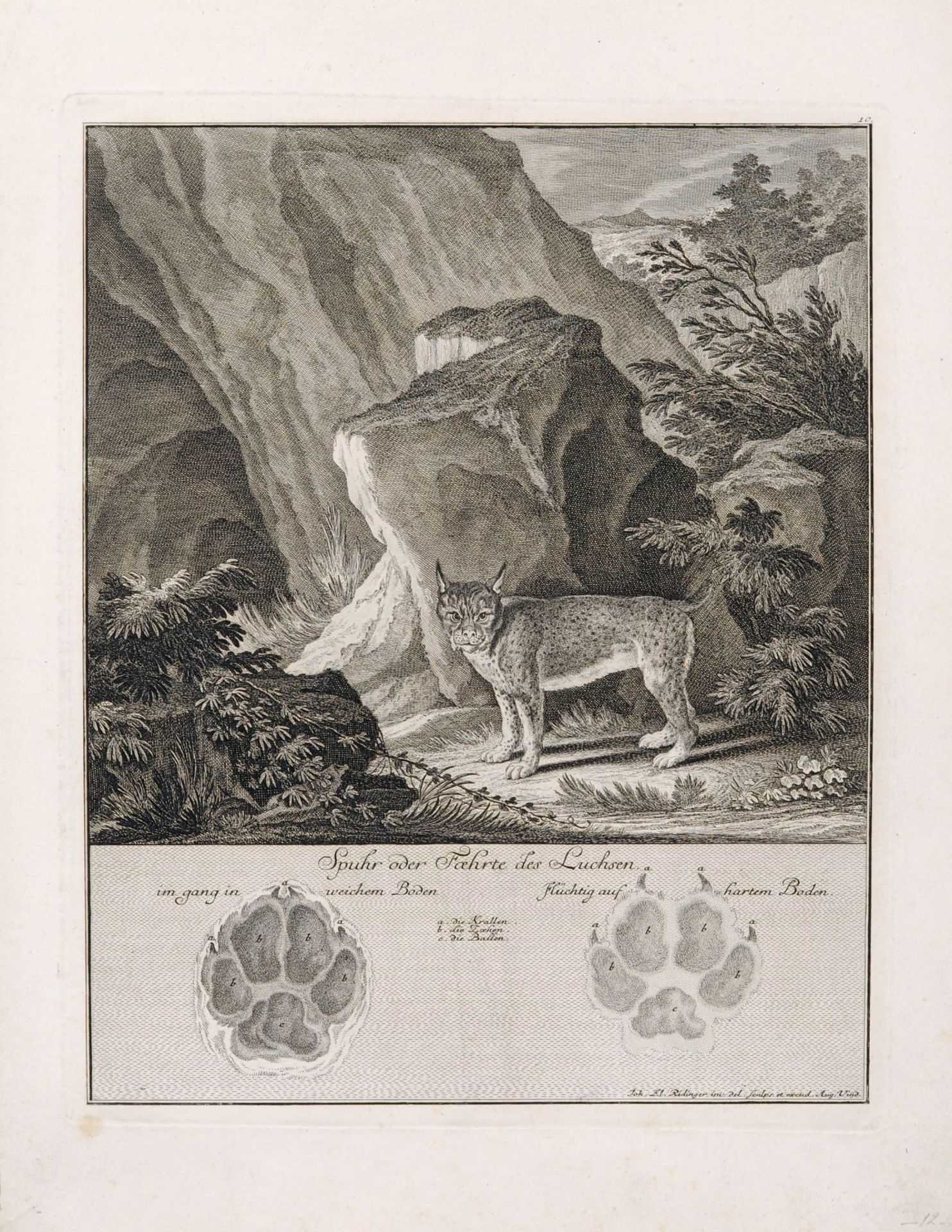 Johann Elias Ridinger, Sechs Tiere und ihre Spuren. 1740. Johann Elias Ridinger 1698 Ulm  1767 - Bild 2 aus 6