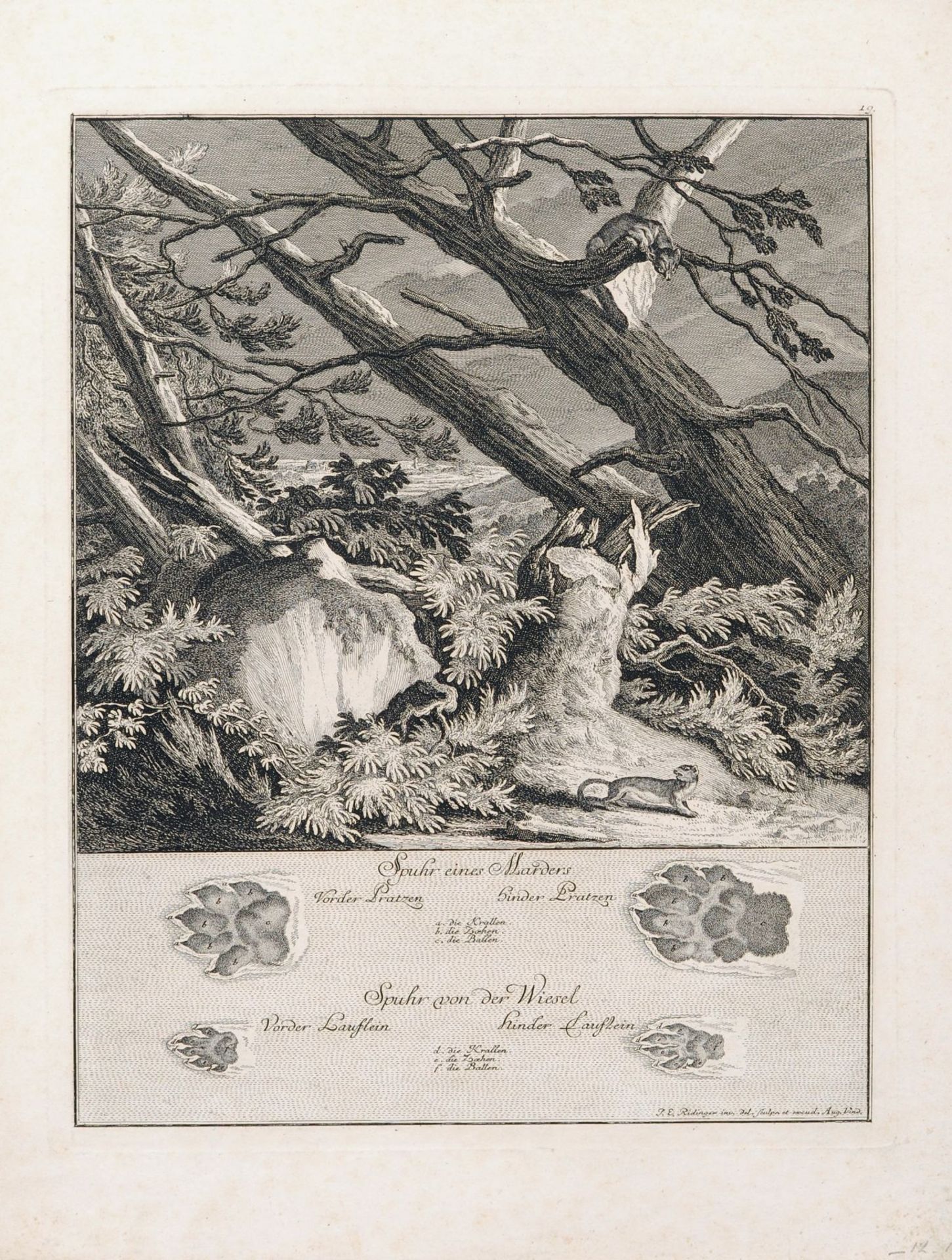Johann Elias Ridinger, Sechs Tiere und ihre Spuren. 1740. Johann Elias Ridinger 1698 Ulm  1767 - Bild 3 aus 6