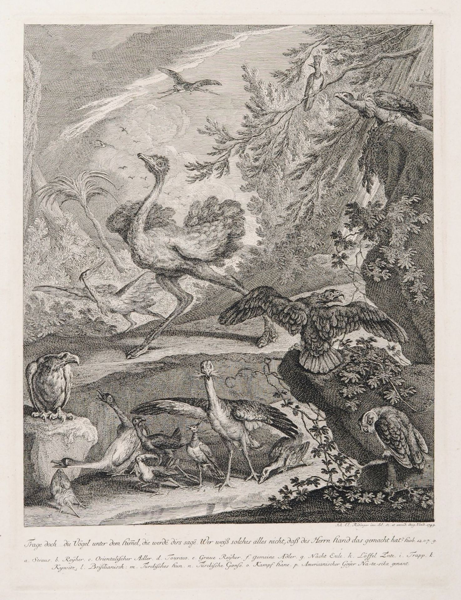 Johann Elias Ridinger "Frage doch die Vögel unter dem Himmel" / "Verbirgest Du Dein Angesicht" 1749. - Bild 2 aus 2