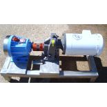 Wanner Hydra Cell Pump