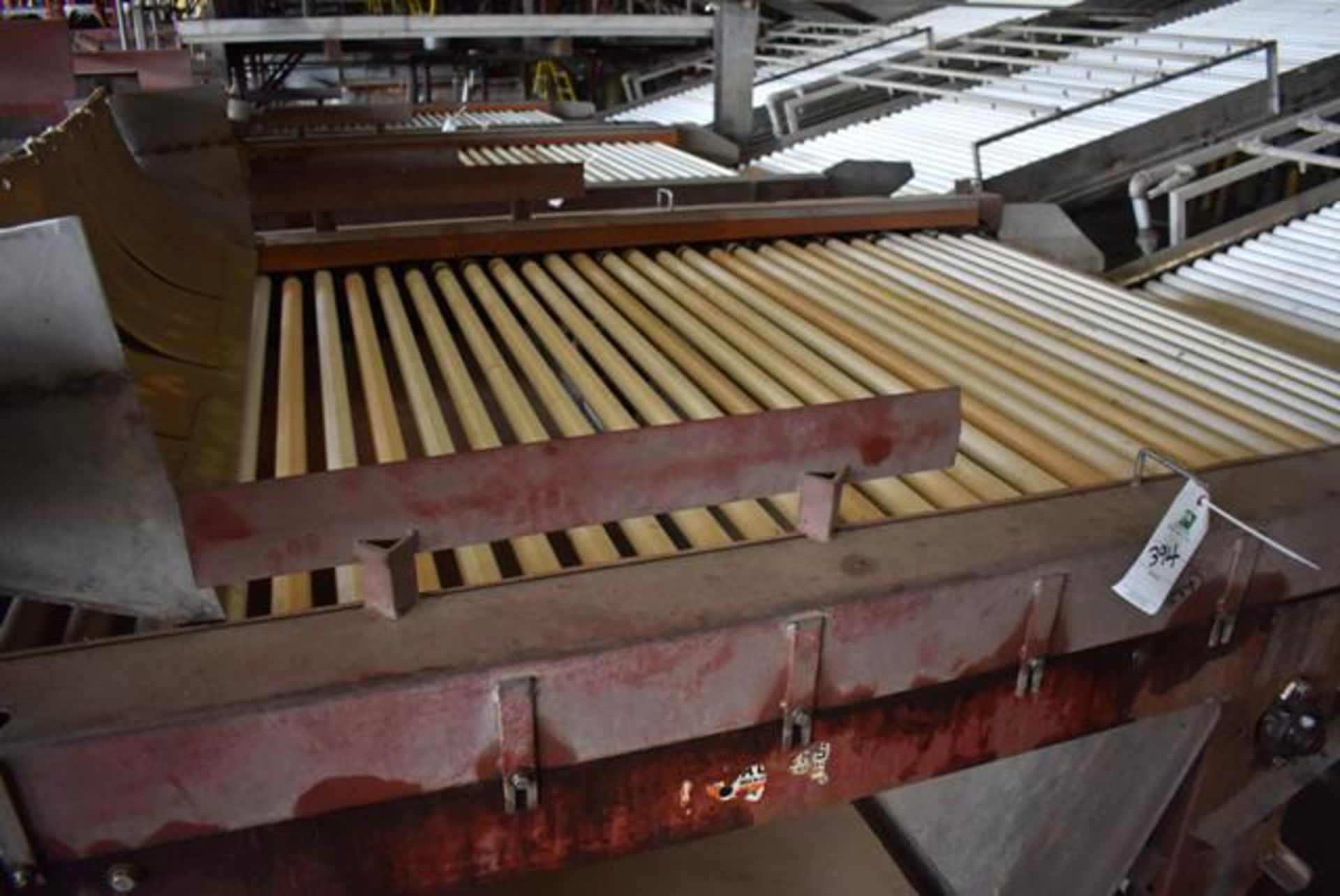 Packers Conveyor/De-Leafer, 72 in. Wide x 8 ft. Length, RIGGING FEE: $500