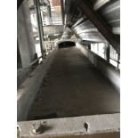 Vibrating conveyor w/ cooling table