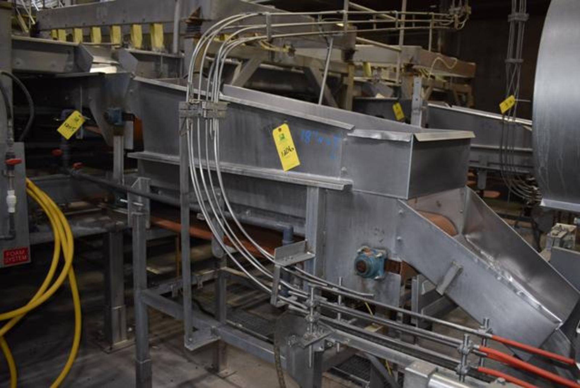 Conveyor - Accumulator Belt Conveyor, 18" Wide Belt x 5' Length, SS Frame/SS Leg, RIGGING FEE: $300