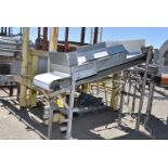 Belt Conveyor, 18" Wide Belt x 8' Length, SS Leg Base, RIGGING FEE: $175