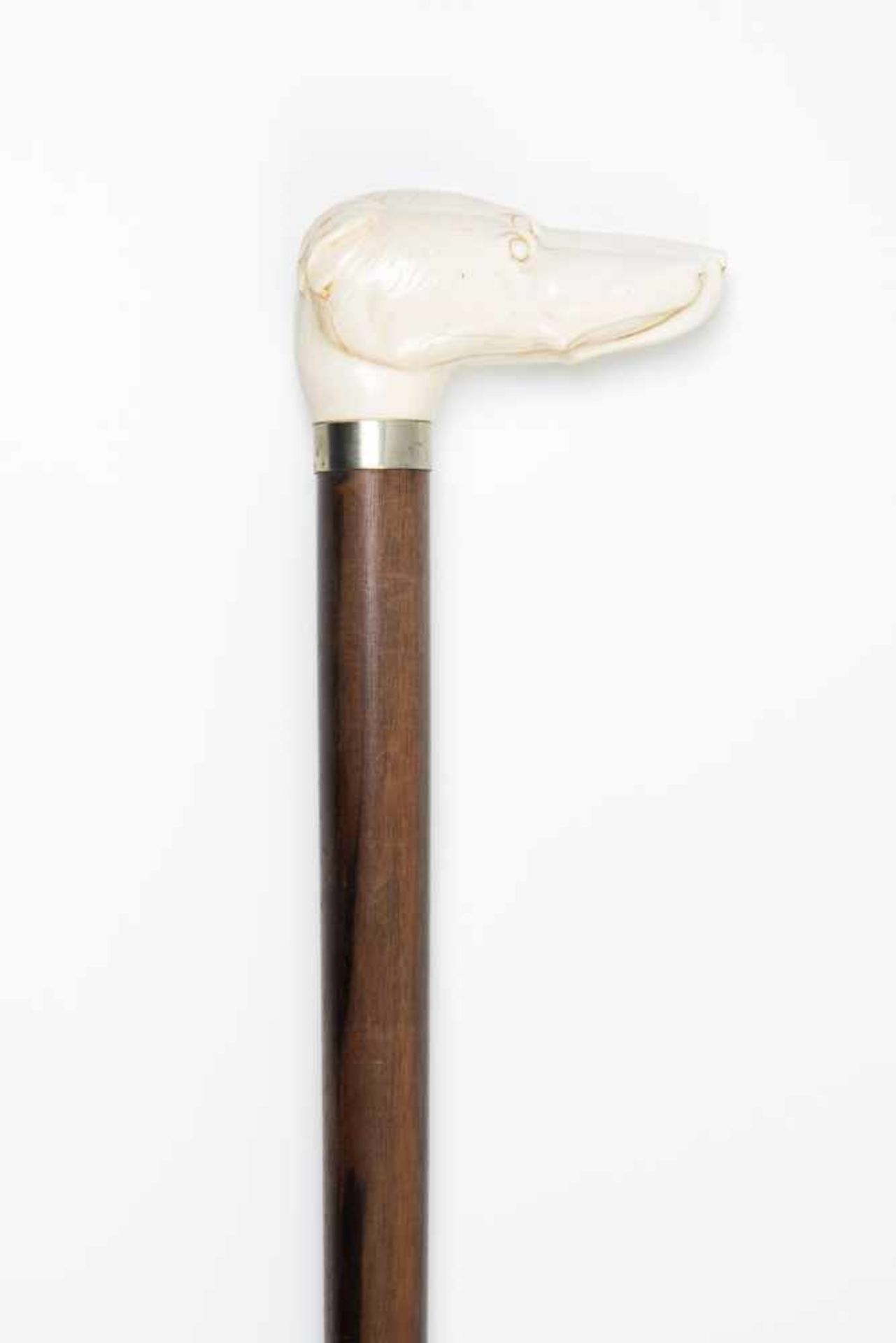 Spazierstock19./20. Jh. Elfenbeingriff plastisch geschnitzt in Form eines Windhundkopfes, an der
