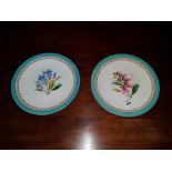 A good pair of decorative Wall Plates