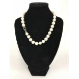 sterling silver large pearl necklace