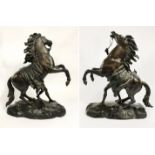 PAIR OF BRONZE MARLEY HORSES