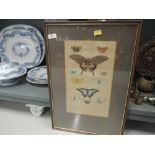 A vintage etching print with full colour butterfly interest