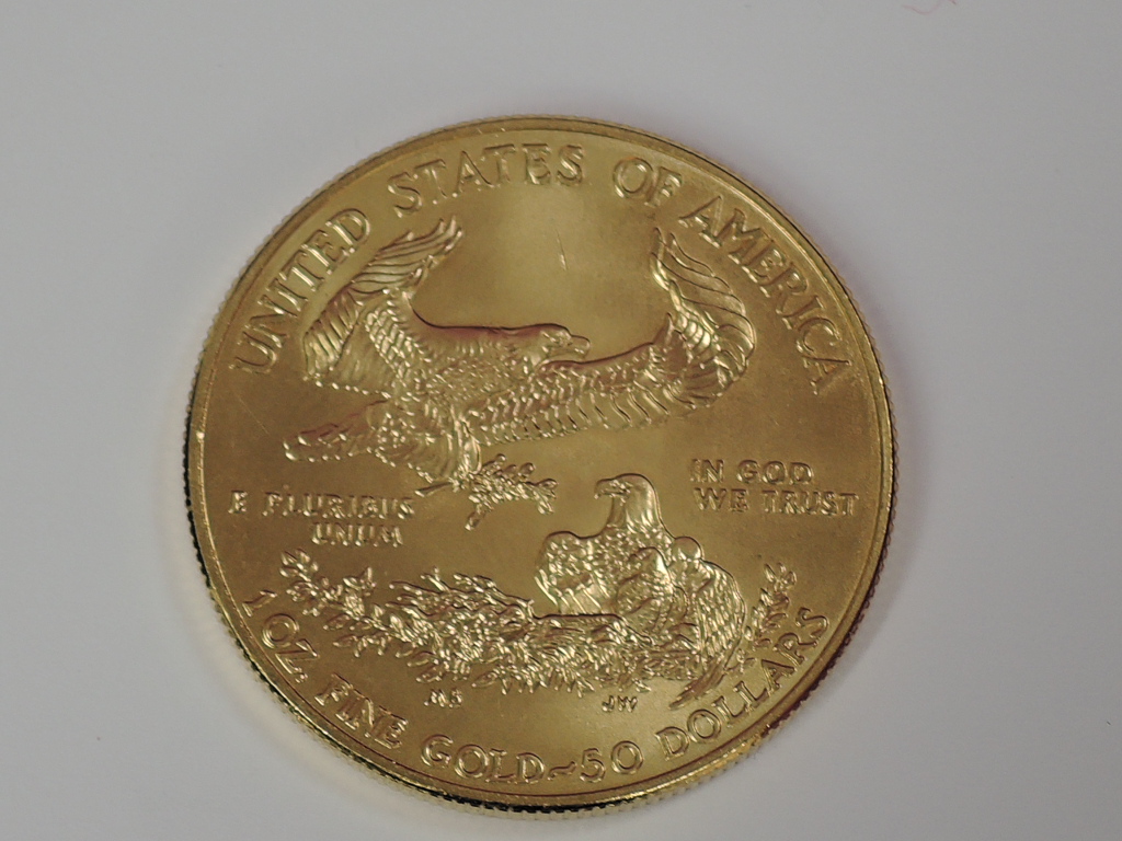 A gold 1oz 2010 50 dollar U.S.A. coin, in plastic case - Image 2 of 2