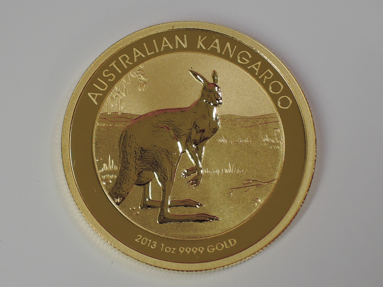 A gold 1oz 2013 100 dollar Australian Kangaroo coin, in plastic case