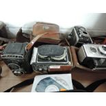 Four Reflex cameras, a Lubitel 2, a Kodak Reflex II, a Brownie Reflex 20 and an Elioflex